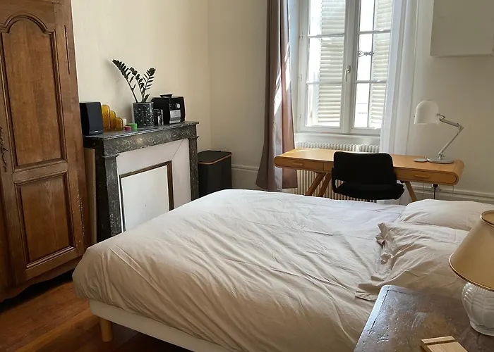 Petit Appartement Douillet, Centre Historique De Dijon